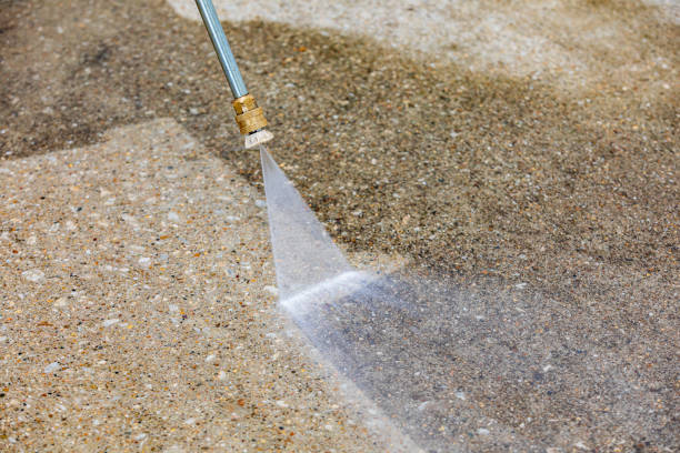 Best Pre-Holiday Cleaning  in Gridley, CA